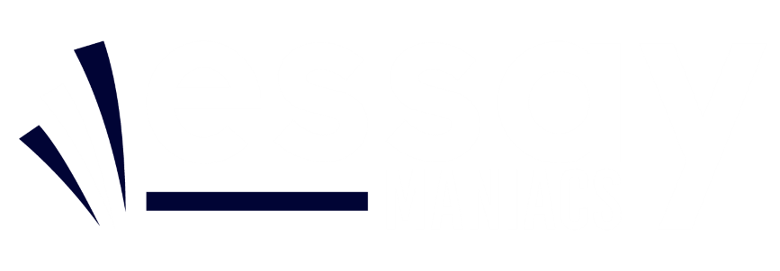 essaymaniacs logo