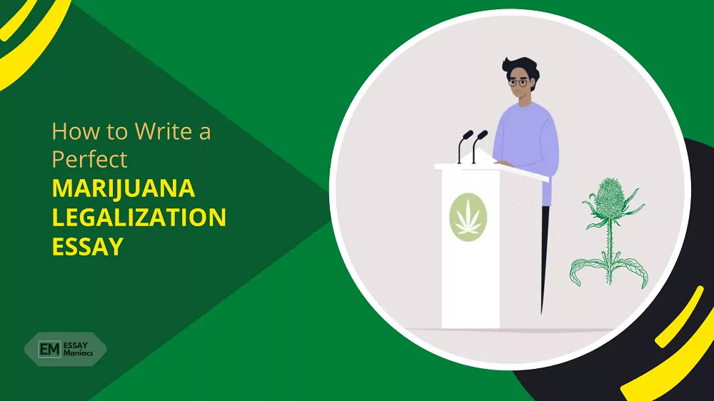 marijuana essay guide